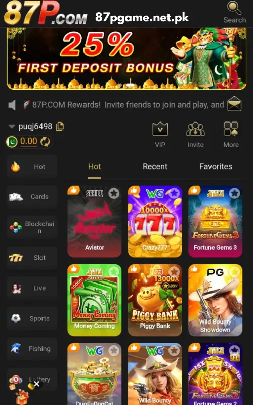 87p Game interface