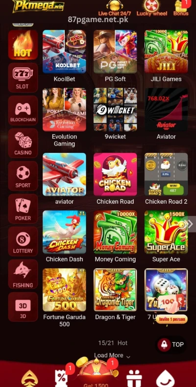 PkMega Game Interface
